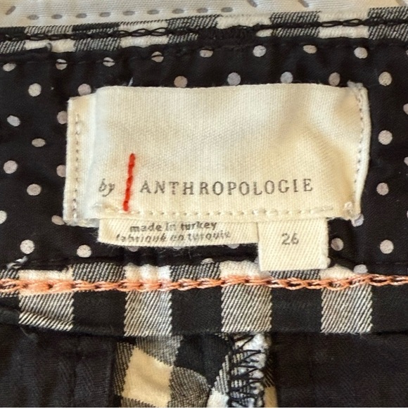 Anthropologie Picnic Gingham Check Shorts Size 26 - Picture 7 of 10